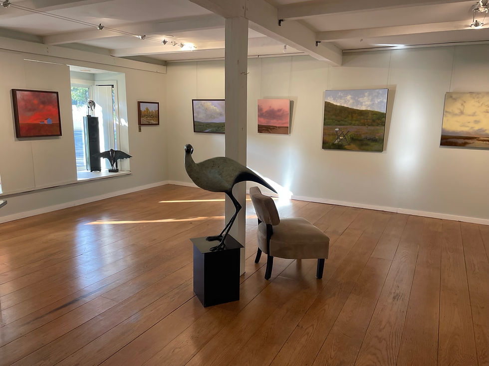 Gallery - 1 of 1 (1)