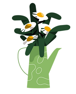 11.png