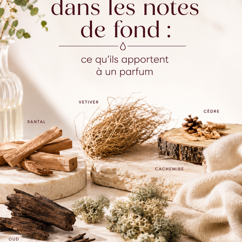 Les bois dans les notes de fond : ce qu’ils apportent à un parfum