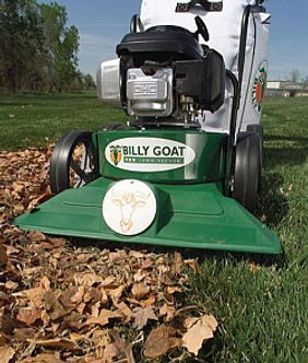billy goat leaf vacuuming .jpeg