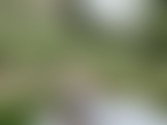 ¿Dónde te gusta leer?