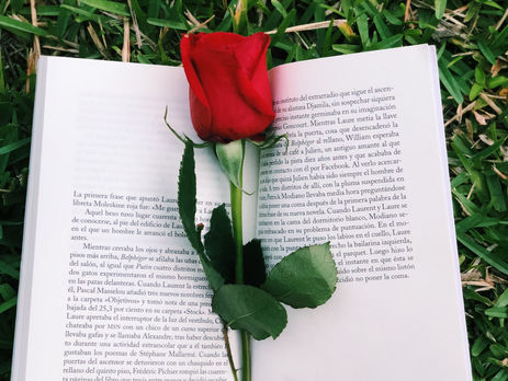 Feliz Día del Libro