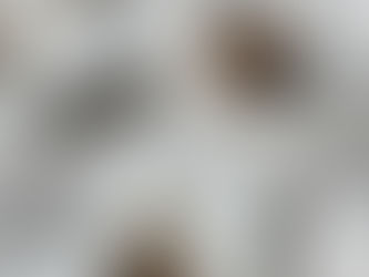 El nervio óptico de María Gainza