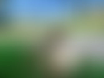 Trascendent Kingdom de Yaa Gyasi