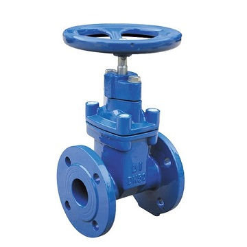 755602 GATE VALVE DIN CAST IRON ; FLANGED PN10 DN50