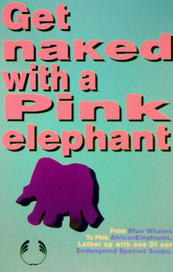 Original launch campaign for the 'Endangered Species Range' by The Body Shop. Concept design, copy, photography & typography by Frances Myers