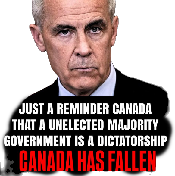 Screenshot 2026-04-17 194820_edited.png