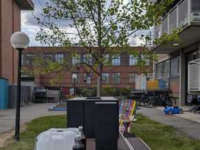 Transforming Waste into Wonder