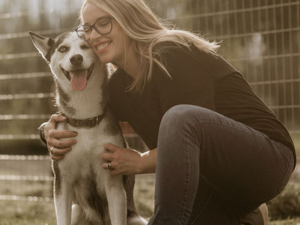 Top 5 Tips for Dog Boarding Success