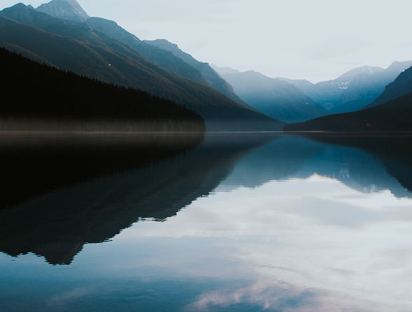ivana-cajina-wDb8v95nkak-unsplash_edited.jpg