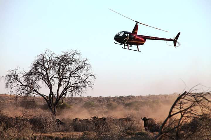 Helicopter game capture & census