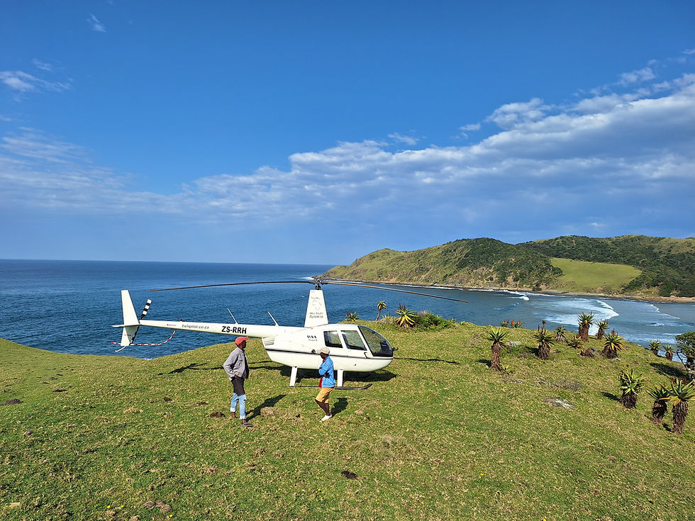Wild Coast helicopter charters & tours