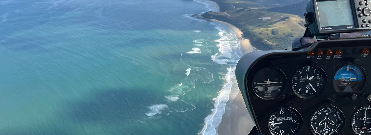 Wild Coast strip.jpg