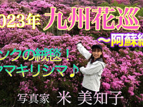 サザエさん！？