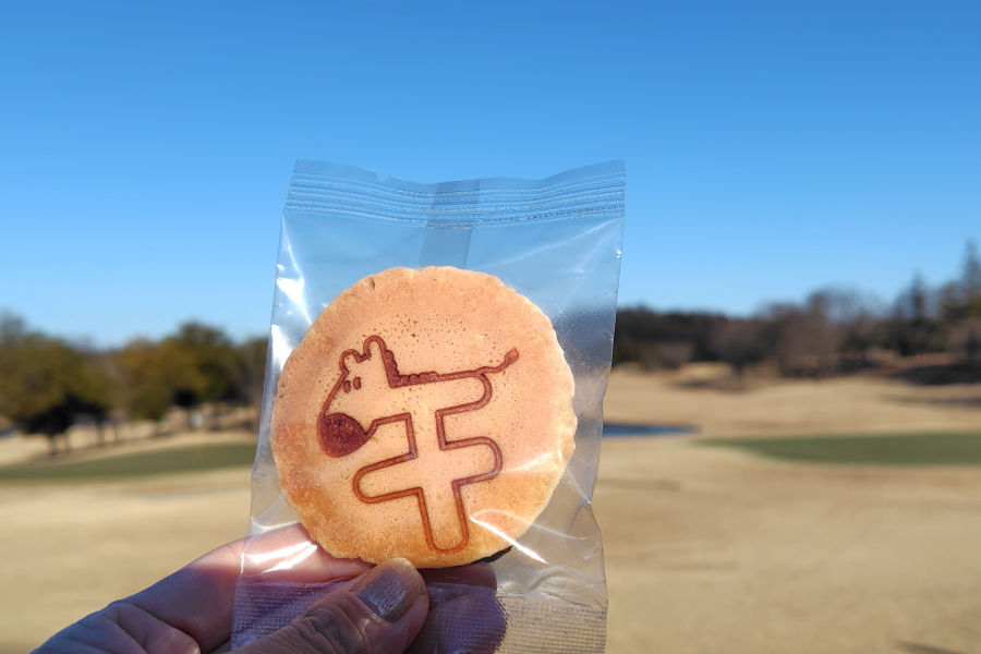 新年杯参加賞のうまドラ。初打ちでは賞品を当てられず残念(笑)