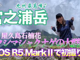 どっちもスゴイ！