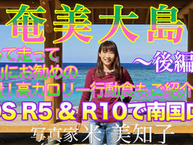 忘れていました...