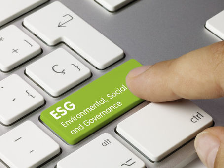 The Role of ESG in Shaping Sustainable Businesses