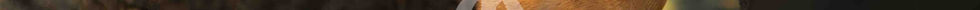 Reh Close Up Portrait Wildlife Fotografie Rocky Mountains – Jakob Kreusch Wildtiere fotografieren