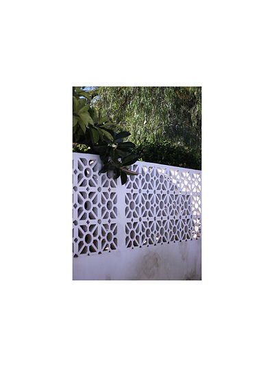 ~tenerife ~-b9c1219.jpg