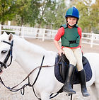 Equestrian Center for animal assisted therapy