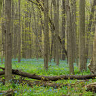 4월 7일 (막 6:31)