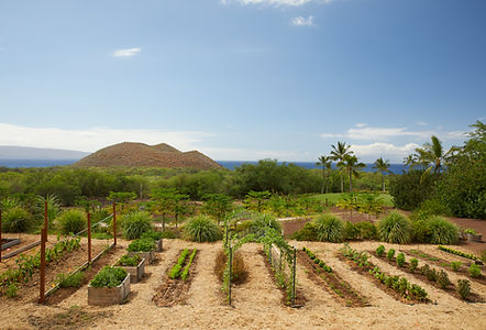 MGBC_Farm_Garden_005.jpg