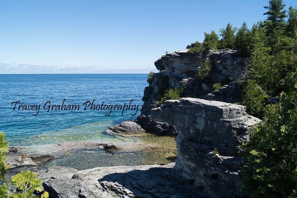 DSC04882