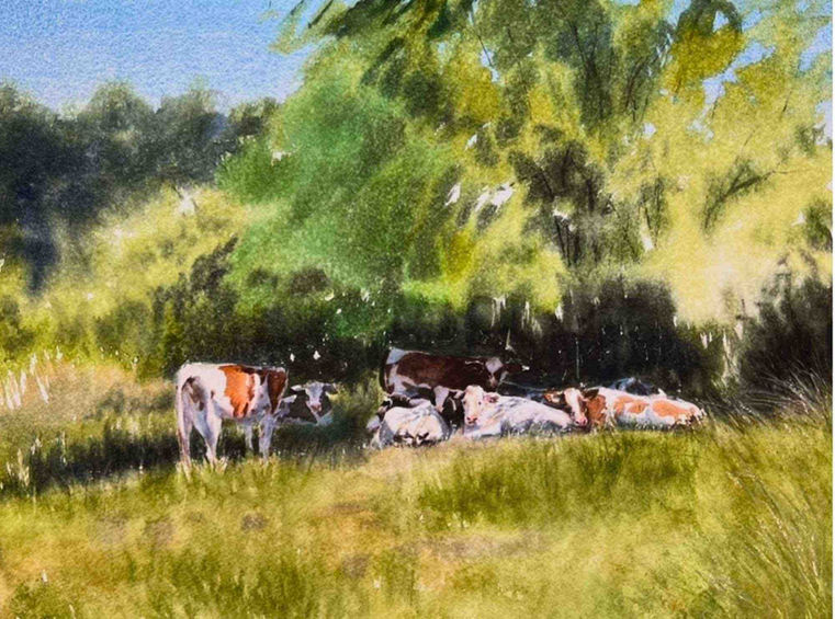 „Im Schatten“ – Landschaftsaquarell von Annett Coumont mit Rinderherde auf einer sommerlichen Wiese unter schattenspendenden Bäumen.