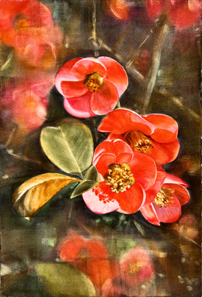 Modernes Aquarell einer blühenden Flowering Quince mit leuchtend korallroten Blüten vor dunklem, atmosphärischem Hintergrund.