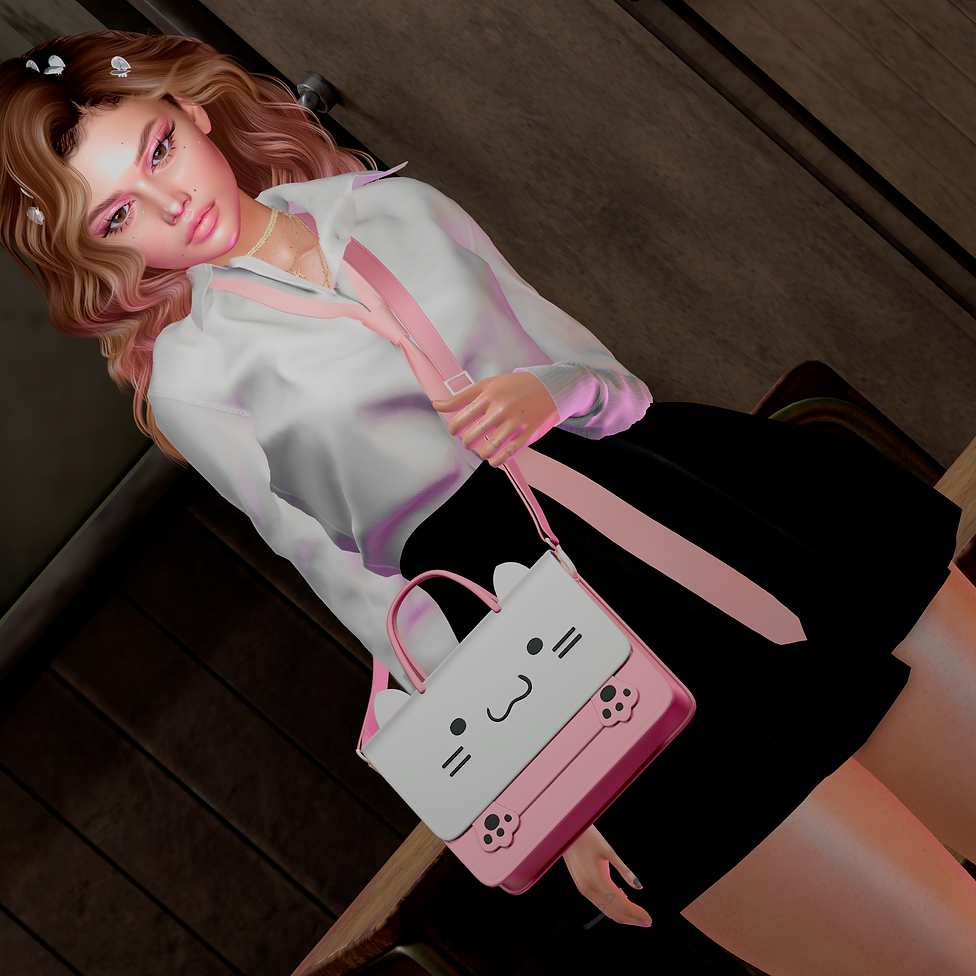 Snapshot_076 (1).png