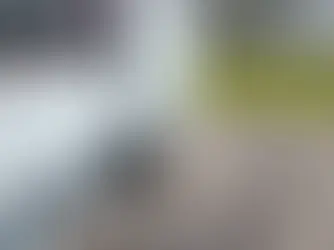 Caravan with black and red stripes parked on gravel. Black wire pen enclosing area. Leaf litter on ground; misty trees in background.