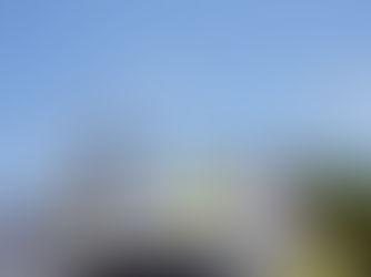 Three people on a car hood, excitedly posing for a selfie on a sunny day. Clear blue sky, trees in background, joyful mood.