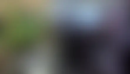 Silver espresso machine on a kitchen counter, beside a small potted plant. A blue mug with foam is in front. LCD screen shows settings.