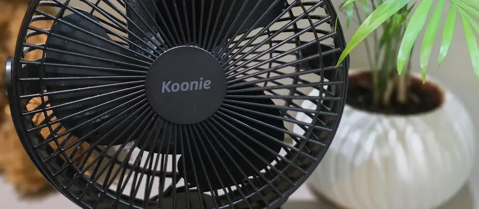 Black tabletop fan labeled "Koonie" near a green potted plant on a beige surface. Background suggests a cosy indoor setting.