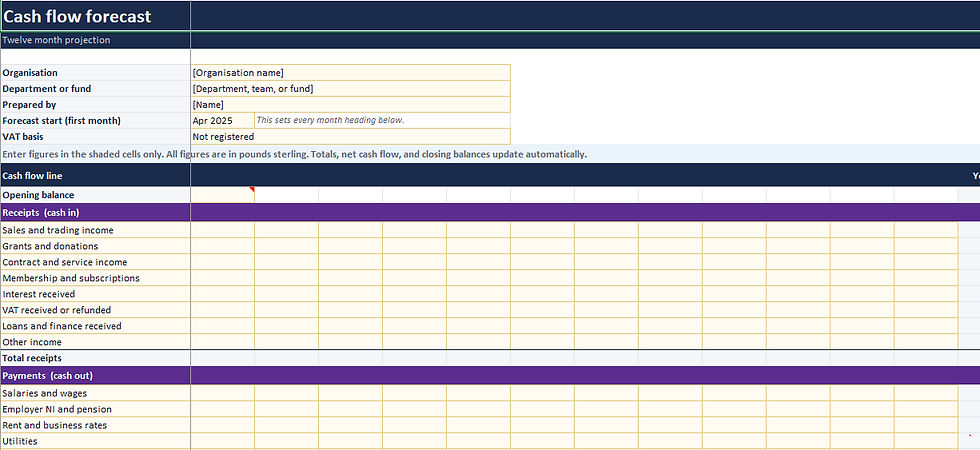 Spreadsheet cash flow forecast template with blue and purple headers, monthly rows, and fields like Organisation, Forecast start, VAT basis.