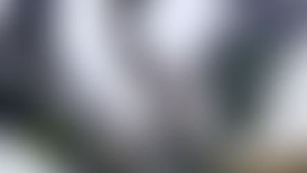 Metallic three-headed dragon sculpture with gears on display outdoors, under a cloudy sky. Nearby sign reads "Kings Coronation Dragon."