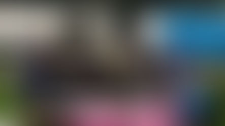 おとななでしこ2月練習会活動報告