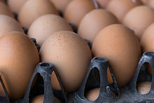 Fresh Eggs