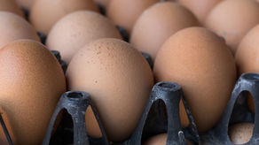 Steamy Eggs!