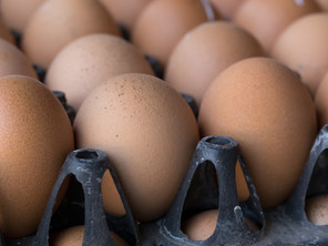 Fresh Eggs