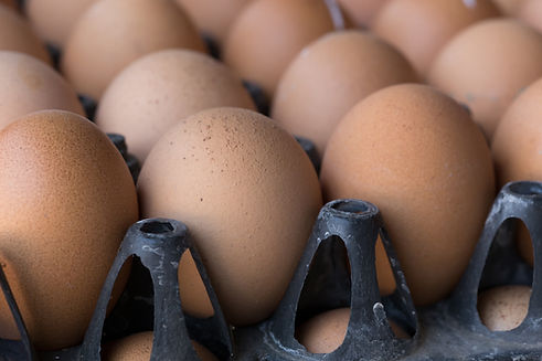 Brown Eggs Tray