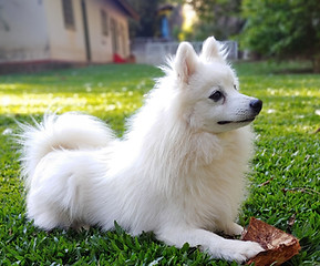 20180923_163347.jpg