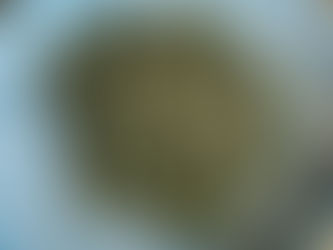 Mountain Dumplings:  Malfatti del Borgotaro