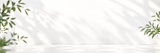 Airy Minimalist Wall with Leaf Shadows.png