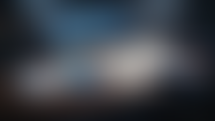 Bankruptcy Self-Litigant Guide: Filing for Bankruptcy Without a Lawyer