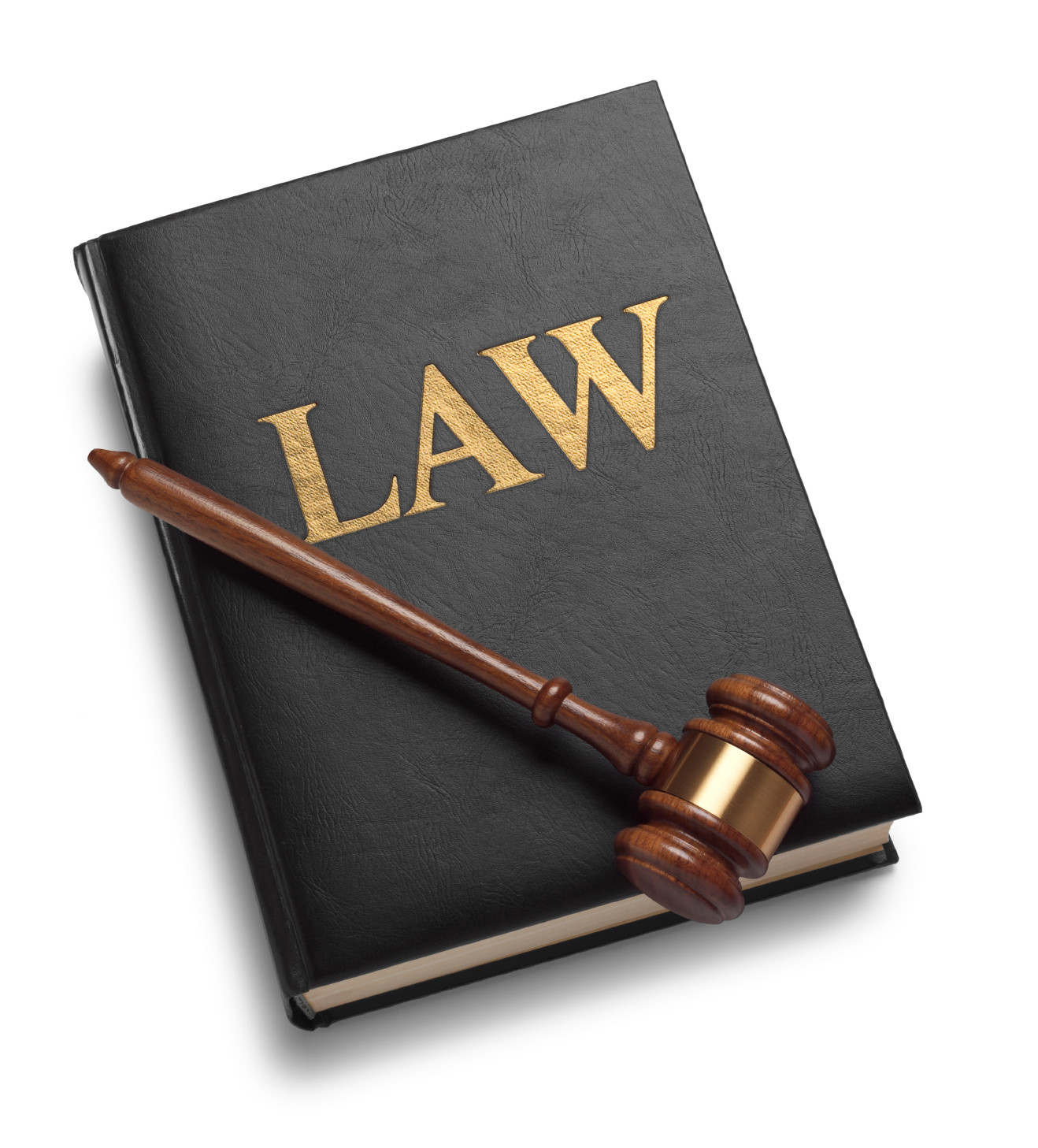 Self litigant Assistance In Propria Persona Ai