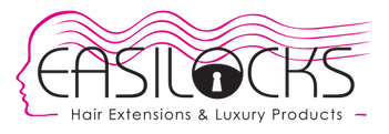 easilocks-logo-black_500x.png