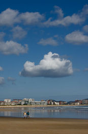 DSC_3012.jpg