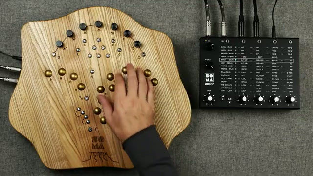 Thumbnail: WARP-SOMA